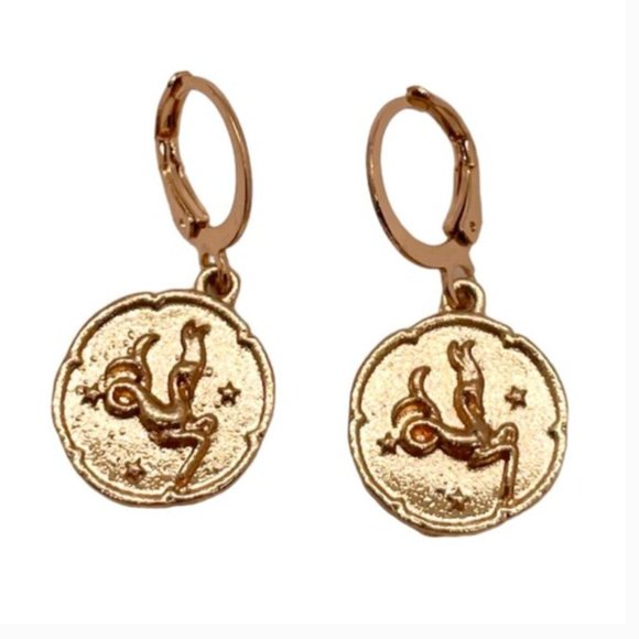 ⭐️❤️ FREE Horoscope Sign Boho Print Peasant Zodiac Modern Minimal Hoop Earrings - Picture 6 of 13